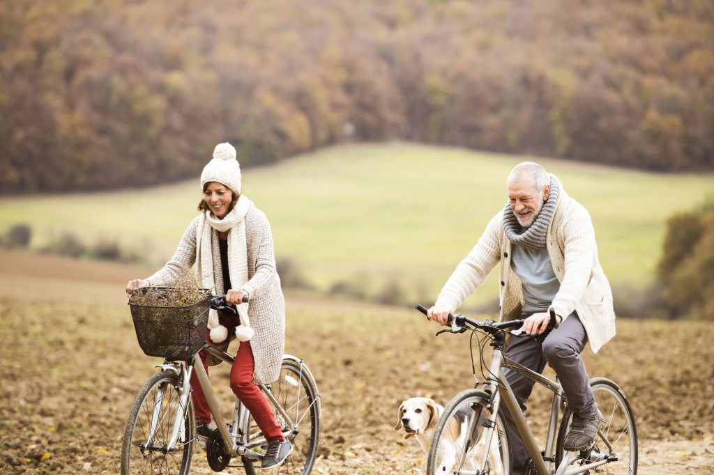 Senior couple doing a bicycle trip with dog